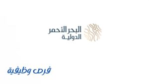 شركة البحر الأحمر الدولية