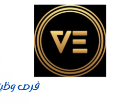 شركة الاقتصاد الافتراضي