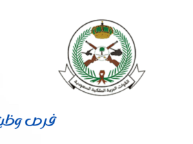 وزارة الدفاع