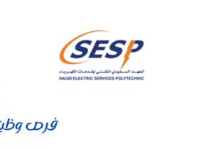 المعهد التقني لخدمات الكهرباء