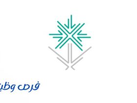 وزارة الاقتصاد والتخطيط