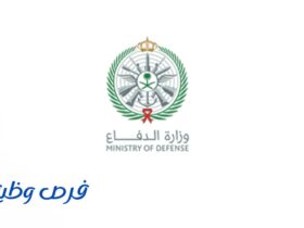 وزارة الدفاع