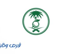 المركز الوطني للرقابة على الالتزام البيئي