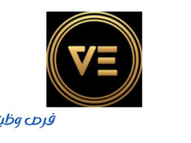 شركة الاقتصاد الافتراضي