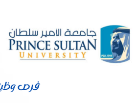 جامعة الأمير سلطان