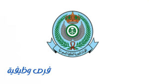 القوات الجوية