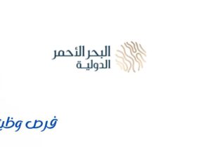 شركة البحر الأحمر الدولية