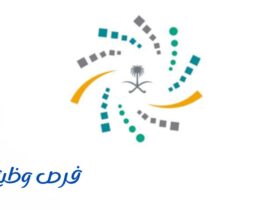 برنامج خادم الحرمين الشريفين للابتعاث