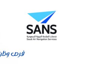 شركة الملاحة الجوية