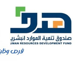 صندوق هدف