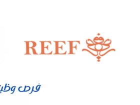 شركة ريف