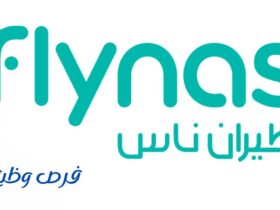 طيران ناس