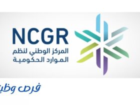 المركز الوطني لنظم الموارد الحكومية
