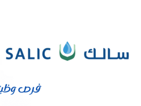 شركة سالك
