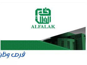 شركة الفلك