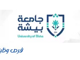 جامعة بيشة