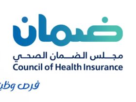 مجلس الضمان الصحي