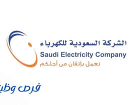 الشركة السعودية للكهرباء