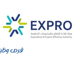 هيئة كفاءة الإنفاق