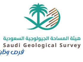 هيئة المساحة الجيولوجية