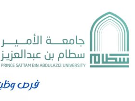 جامعة الأمير سطام