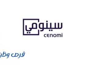 شركة سينومي