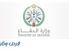 وزارة الدفاع