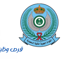 هيئة إدارة القوات الجوية