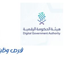 هيئة الحكومة الرقمية