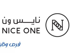 شركة نايس ون