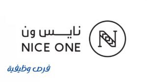 شركة نايس ون