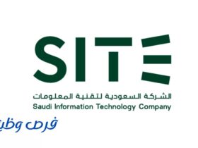الشركة السعودية لتقنية المعلومات