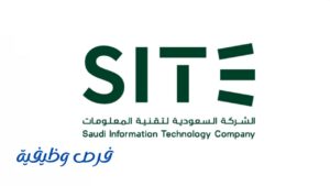 الشركة السعودية لتقنية المعلومات