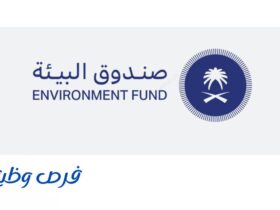 صندوق البيئة