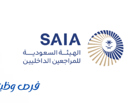 هيئة المراجعين الداخليين