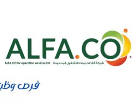 شركة ألفا لخدمات التشغيل
