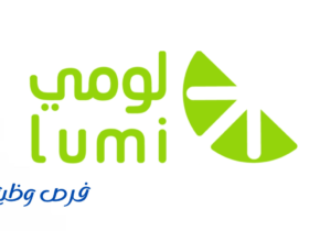 شركة لومي