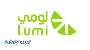 شركة لومي