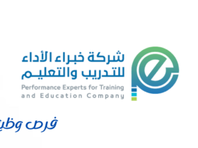 شركة خبراء الاداء للتدريب والتعليم