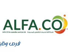 شركة ألفا الرائدة
