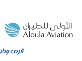 شركة الأولى للطيران